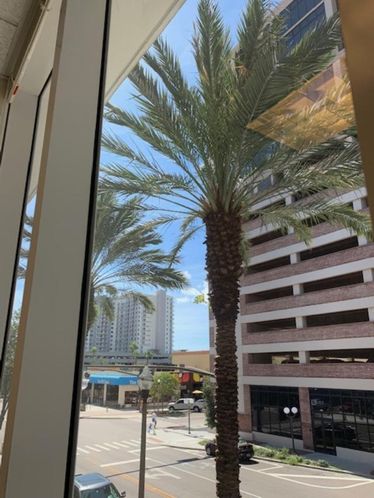 Signature Executive Excellence: 147 2nd Ave S, Saint Petersburg, FL 33701